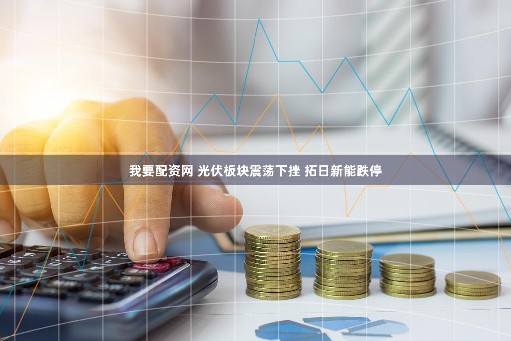 我要配资网 光伏板块震荡下挫 拓日新能跌停