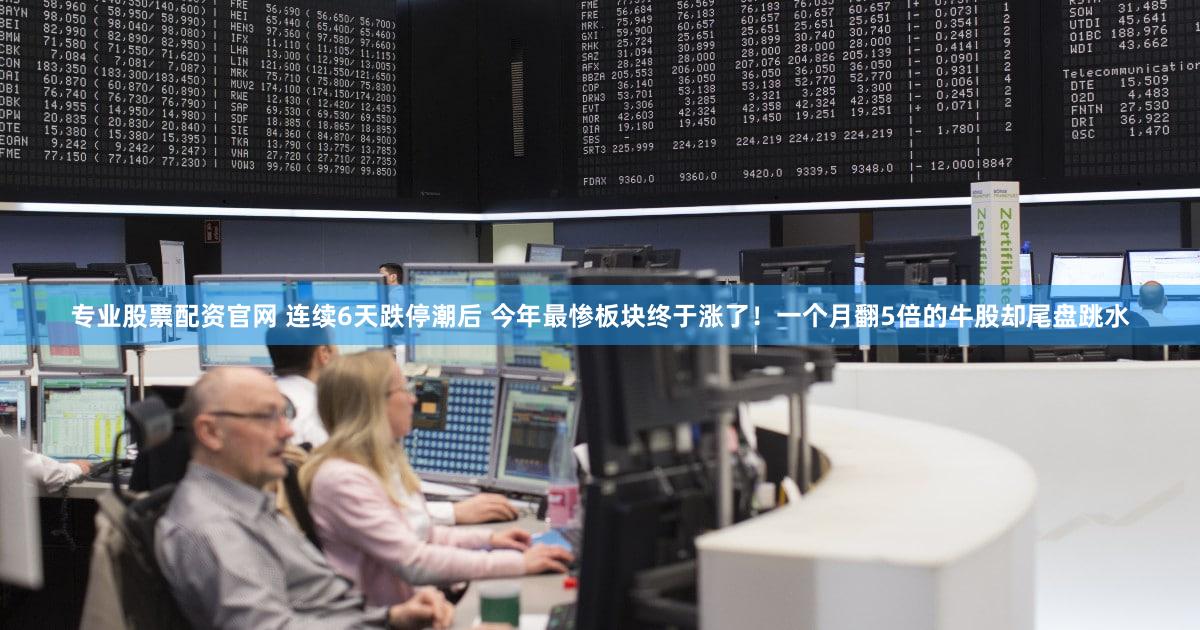 专业股票配资官网 连续6天跌停潮后 今年最惨板块终于涨了！一个月翻5倍的牛股却尾盘跳水