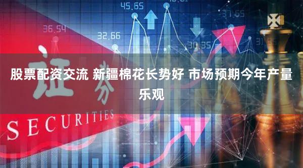 股票配资交流 新疆棉花长势好 市场预期今年产量乐观