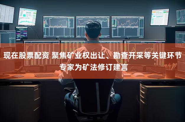 现在股票配资 聚焦矿业权出让、勘查开采等关键环节 专家为矿法修订建言