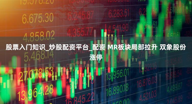 股票入门知识_炒股配资平台_配资 MR板块局部拉升 双象股份涨停