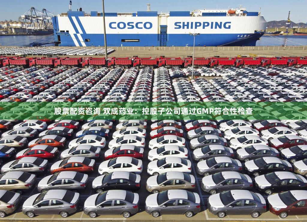 股票配资咨询 双成药业：控股子公司通过GMP符合性检查