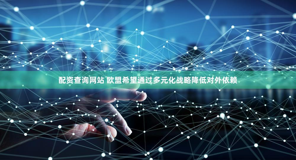 配资查询网站 欧盟希望通过多元化战略降低对外依赖